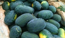 吃瓜51在线黑料吃瓜网51官网版,在线黑料聚集地，51官网版带你探秘网络八卦世界