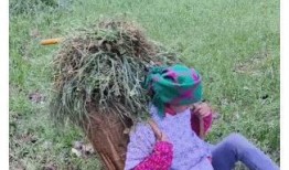 网红小英被曝大瓜