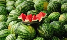 爆料还是曝料 每日吃瓜 必吃大瓜今日大瓜,必吃大瓜！今日大瓜新鲜出炉！